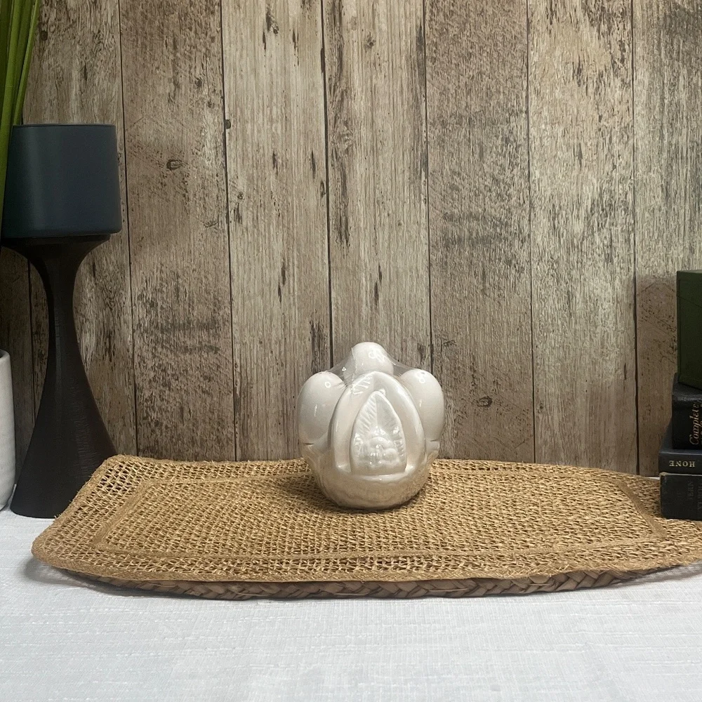Vintage Goose Salt & Pepper Shakers w/ Holder | Ceramic Farmhouse Kitchen Decor